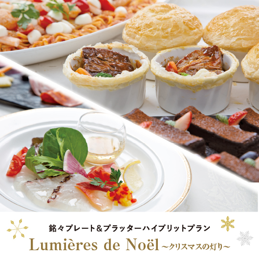 冬のハイブリットプラン
